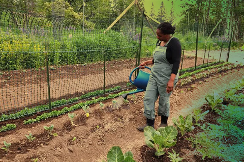 Woman watering plants