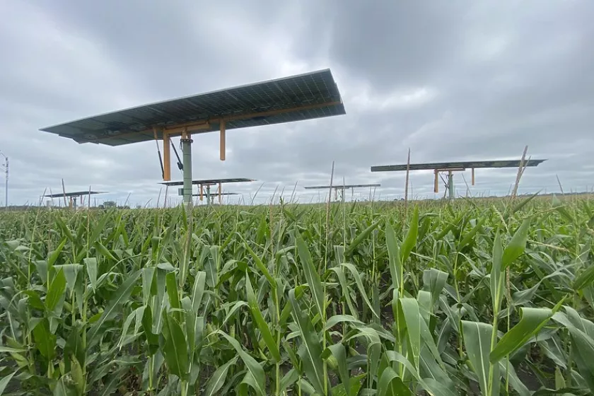 A large solar panel looms over a field of green crops. 