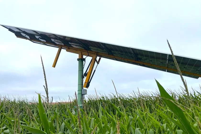 A solar panel is propped up over a green field of crops.