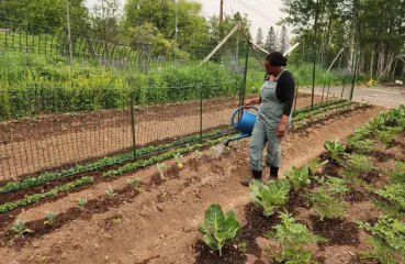 Rumbi watering plants