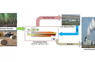 Torrefaction Diagram